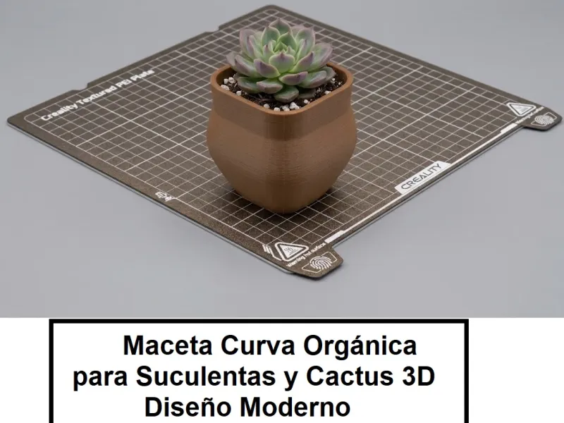 Organische Gebogen Pot voor Vetplanten en Cactussen 3D / Modern Ontwerp