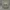 إطار صور بتصميم مضلعات منخفض