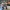 moki_surveyor