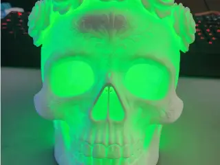 Petalcrest Skull
