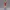 Waifu Fan art Figurine Bulma
