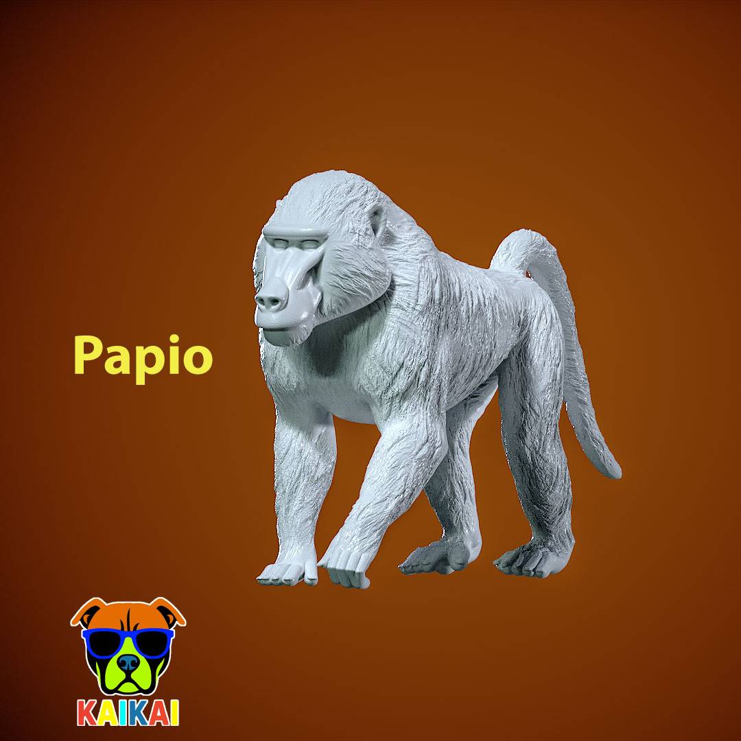 Papio model - Olive Baboon model- statue - 3D print