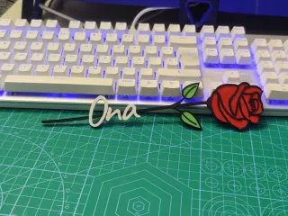 rosa dia de la madre - ona