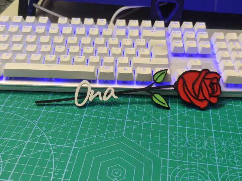 rosa dia de la madre - ona