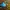 Figura do Slime Azul de Dragon Quest