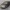 Volkswagen Golf GTI 2021