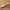 Broom