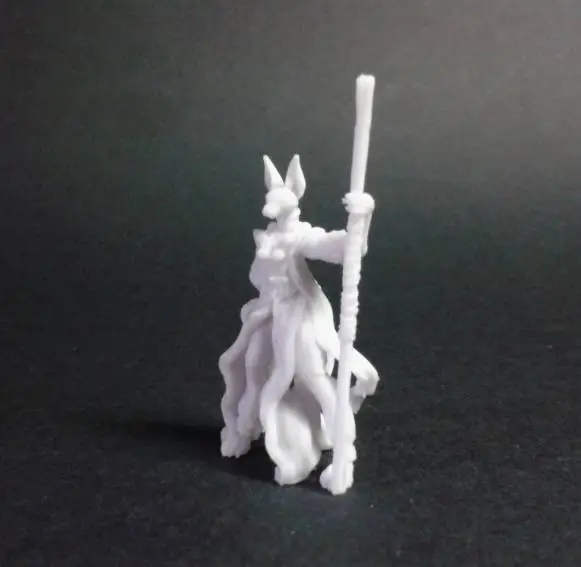 Tabaxi Monk - Tabaxi Caravan - D&D miniature-7