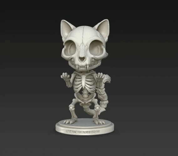 Skeleton Cat Kitten-0
