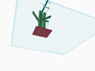 bamboo shiny