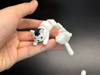 弹簧猫