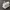 Steam Boiler