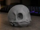 Squirtle Realistic Skull - Bone Series-0