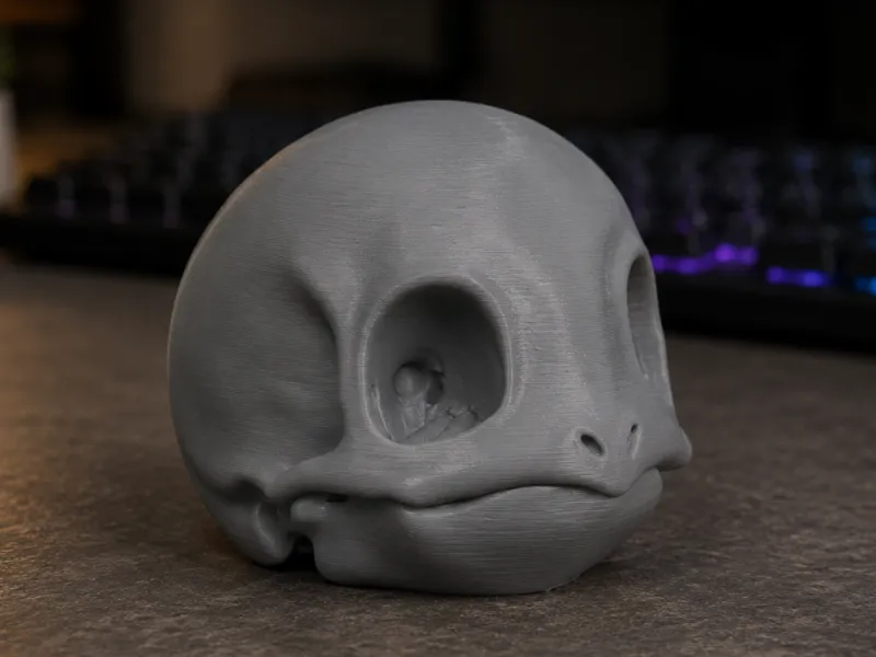 Squirtle Realistic Skull - Bone Series