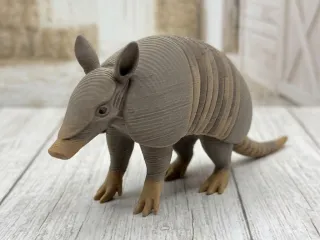 Armadillo