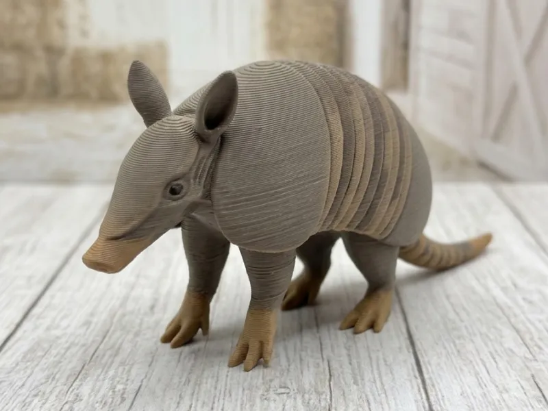 犰狳