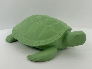 Turtle Miniature