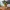 🪴 Moderne 3D-geprinte bloempot met puzzelstandaard