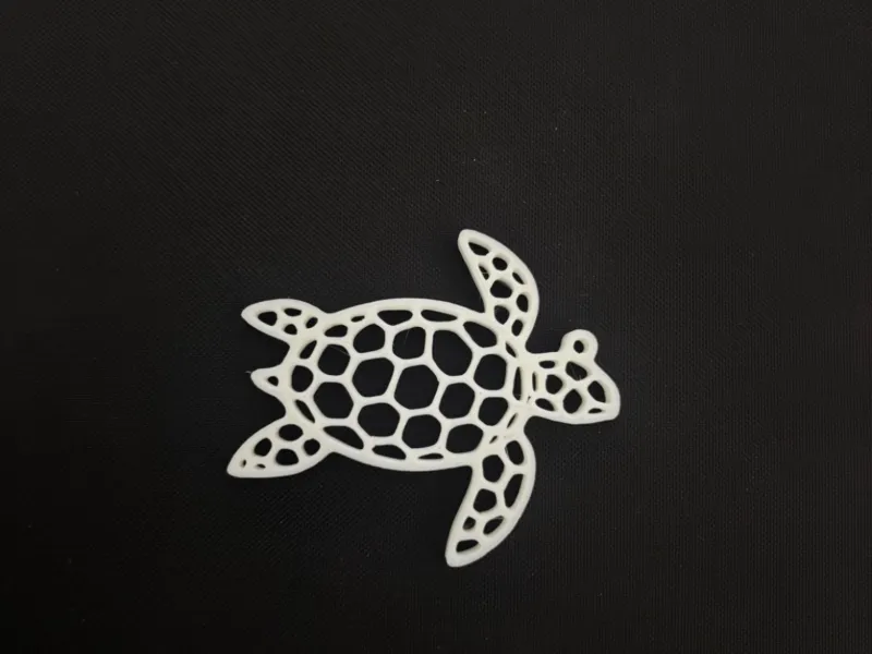 Turtle Voronoi