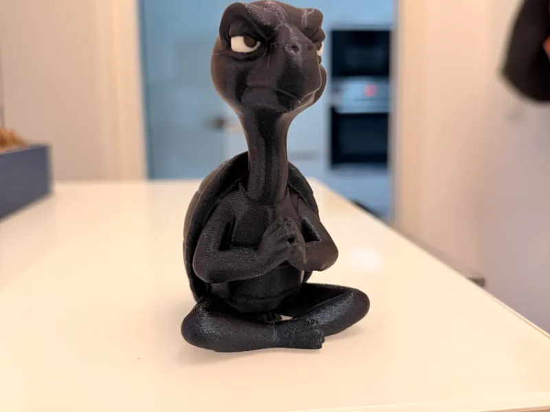 Tortuga Zen