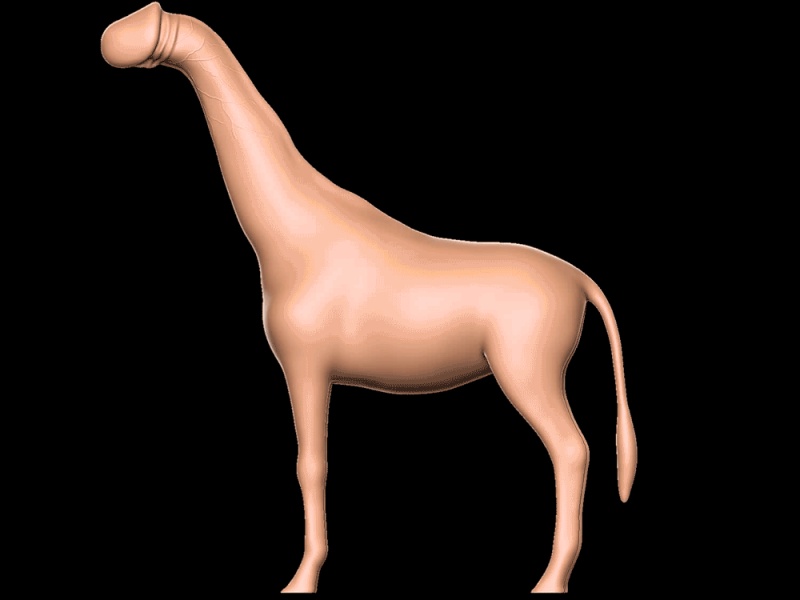 dick penis Giraffe