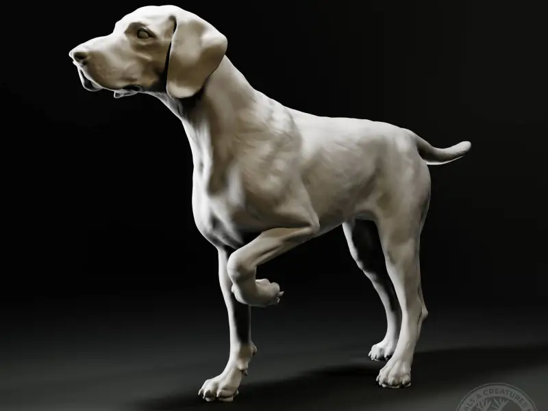 German Shorthaired Pointer
