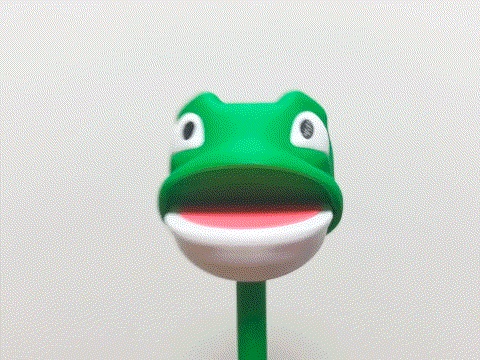 frog toy青蛙玩具