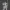 officier futur troop in desert world