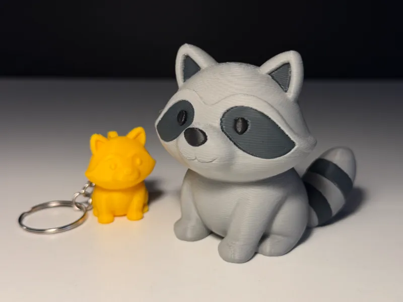 Cute Raccoon