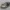 Pagani Imola 2021