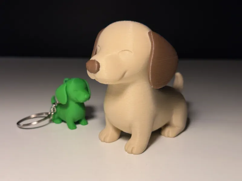 Adorable perro salchicha
