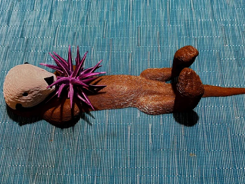 Sea Otter
