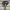 M.T.H.S. Holder - Hammer - Large / Mallet