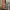 Bass Guitar