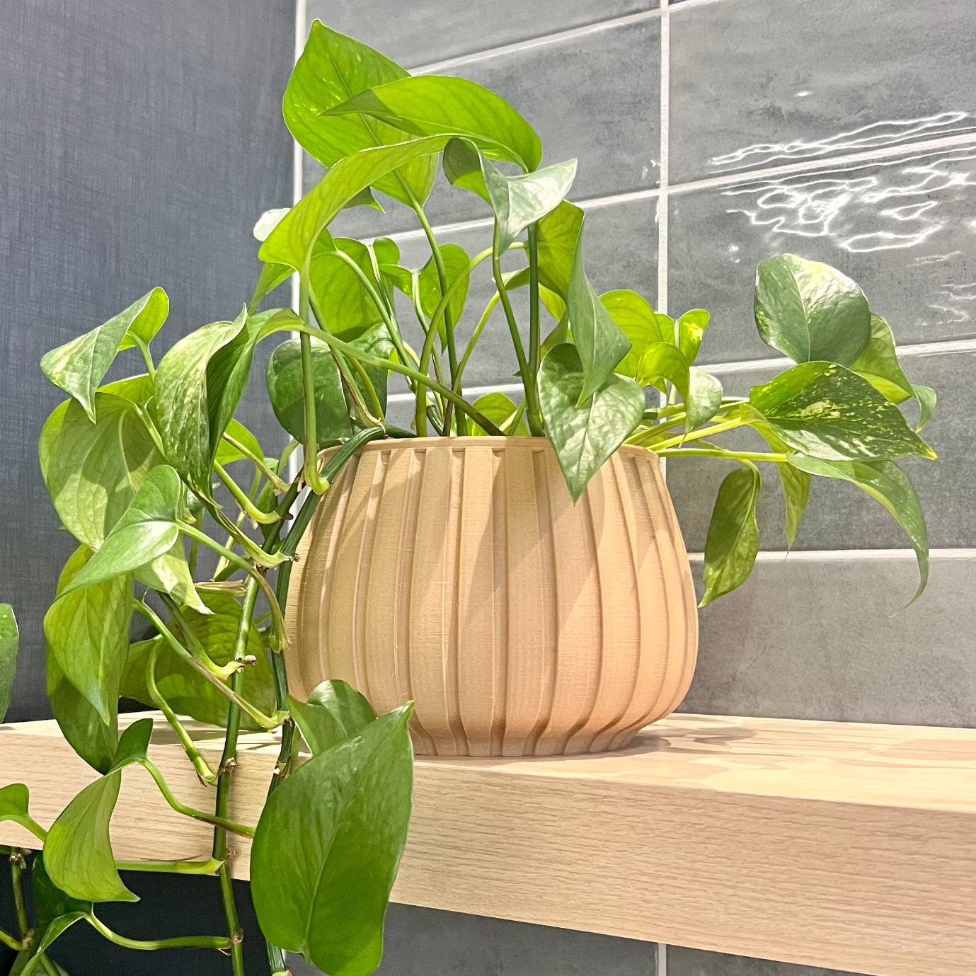 Plant Pot Ribbed Design 6 inch