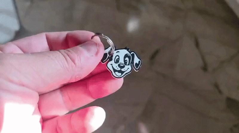 Dalmata Tag NFC