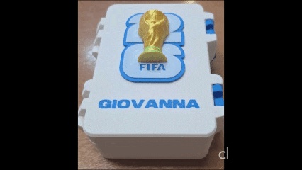 FIFA 2026 WM-Sticker-Etui (Doppelfach)