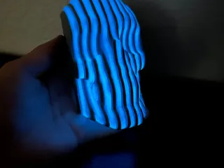 Bent Reality Skull