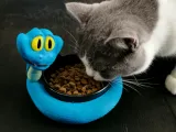 Gary De'Snake cat bowl 盖瑞猫碗-0