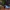 Karambit cs2 sin ams counter striker 2