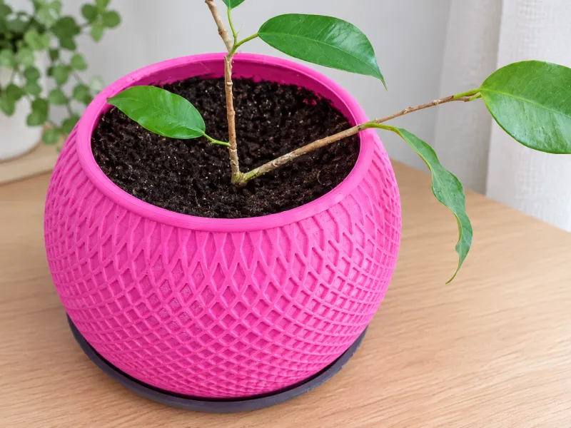 Geometrischer Pflanztopf mit Untersetzer – Moderner Blumentopf mit Gitterdesign