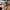 Azure Baby Draak – Noah0x03