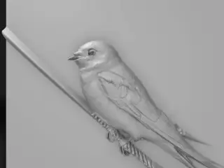 sparrow