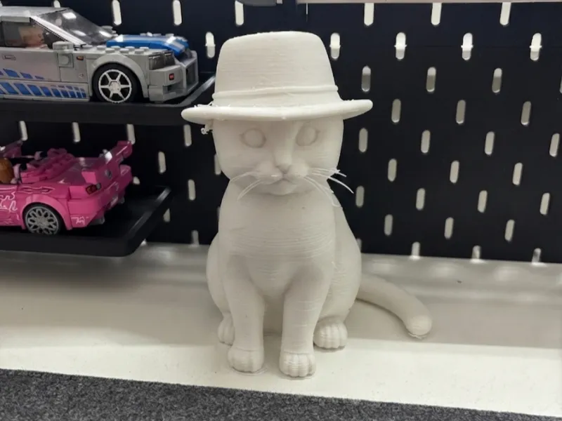 Adorable Petit Chaton dans un Chapeau 🐱!