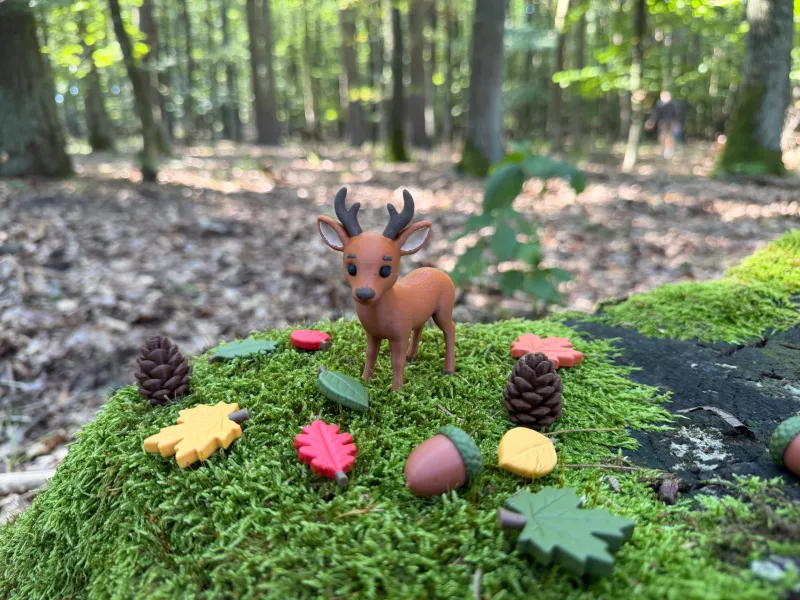 Forest Roe Deer