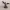 ANCIENT DRAGON - HIGHLY DETAILED DRAKE FIGURINE 3D [FREE]