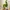 VORONOI-WOOD TEXTURE SQUARE PLANTER - 160MM - THIN WALL