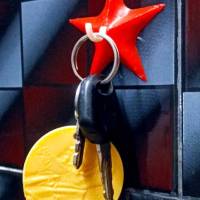 Vacuum Starfish hook-2