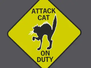attack cat on duty