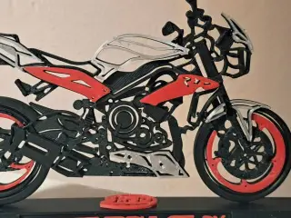 Model Triumph Street Triple 675 RX 2015